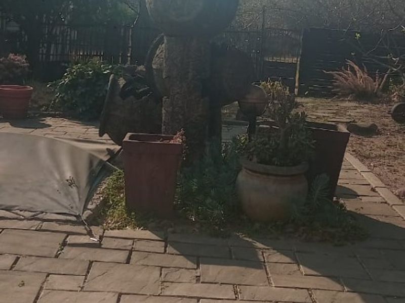 A paved garden area featuring a central stone water feature and mature trees in the background.