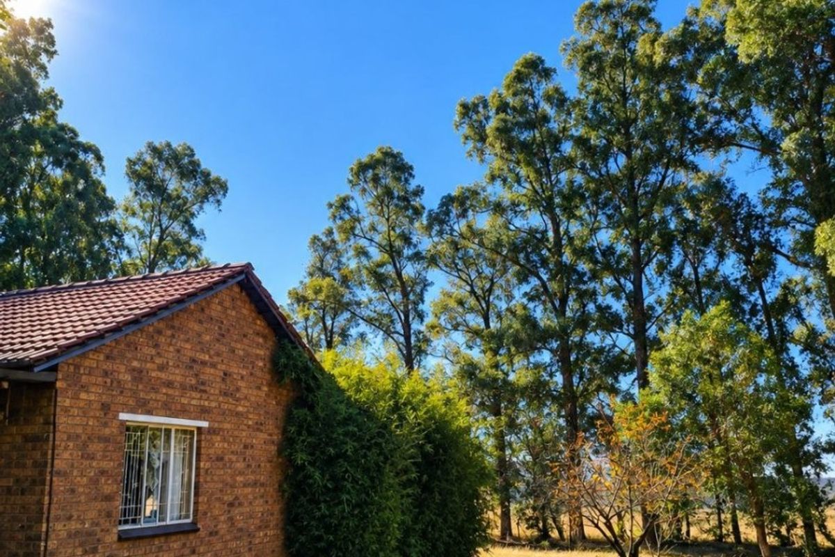 A view of the rear face brick exterior of the farm dwelling, featuring a tiled roof and established garden surroundings.