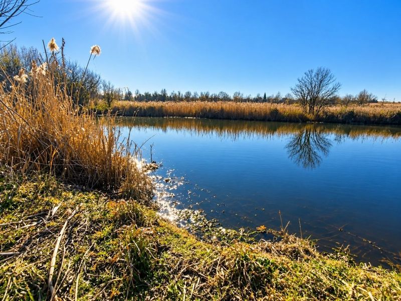 A scenic view of a tranquil river or dam on the farm property, featuring natural vegetation and clear water.