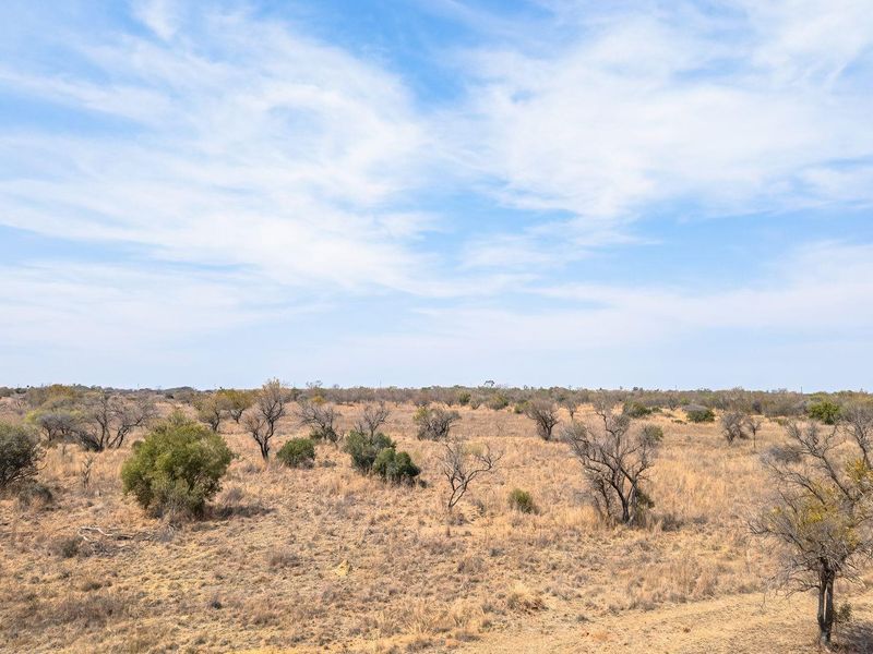 A wide-angle view of the expansive, natural farm landscape featuring native trees and dry grassland under a clear blue sky.