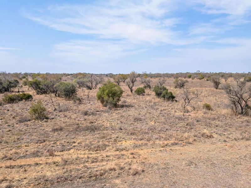 An expansive view of the natural farm landscape featuring native shrubs and open dry terrain under a clear blue sky.