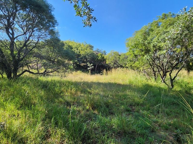 A view of a vacant residential plot featuring natural vegetation and mature trees, offering a peaceful and undeveloped landscape.