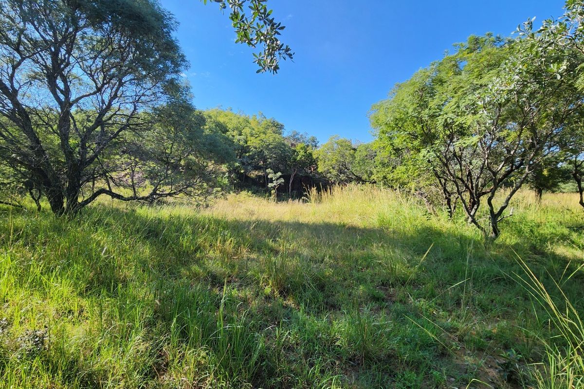 A view of a vacant residential plot featuring natural vegetation and mature trees, offering a peaceful and undeveloped landscape.