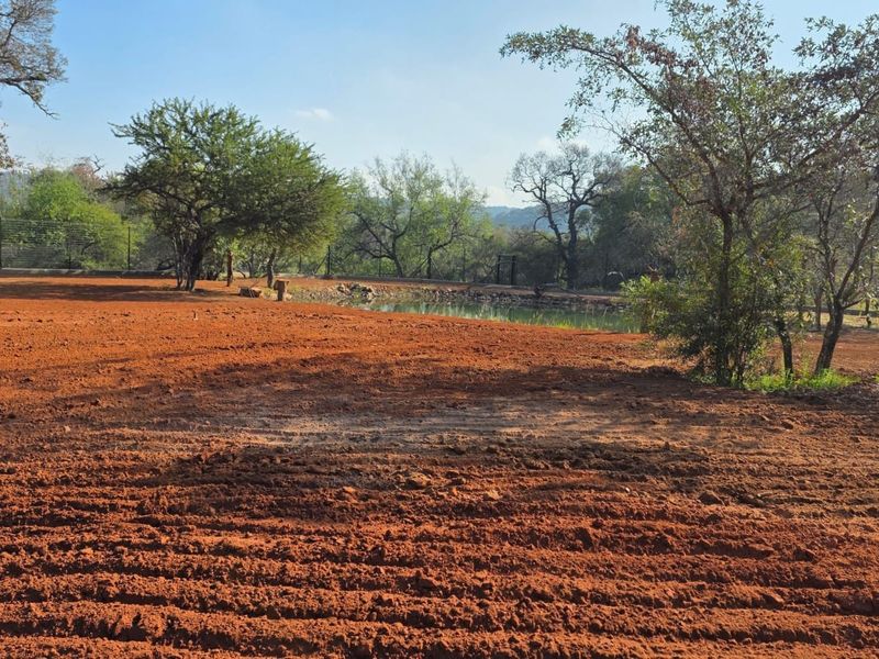 A view of a vacant residential plot featuring cleared red soil, mature trees, and a natural pond area.
