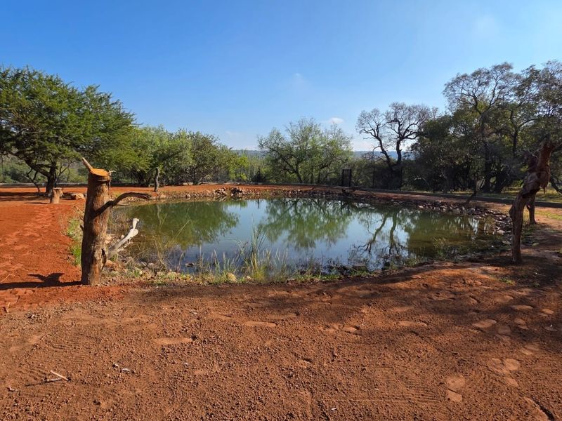 A natural pond feature set within a cleared residential land plot, surrounded by mature trees and native vegetation.