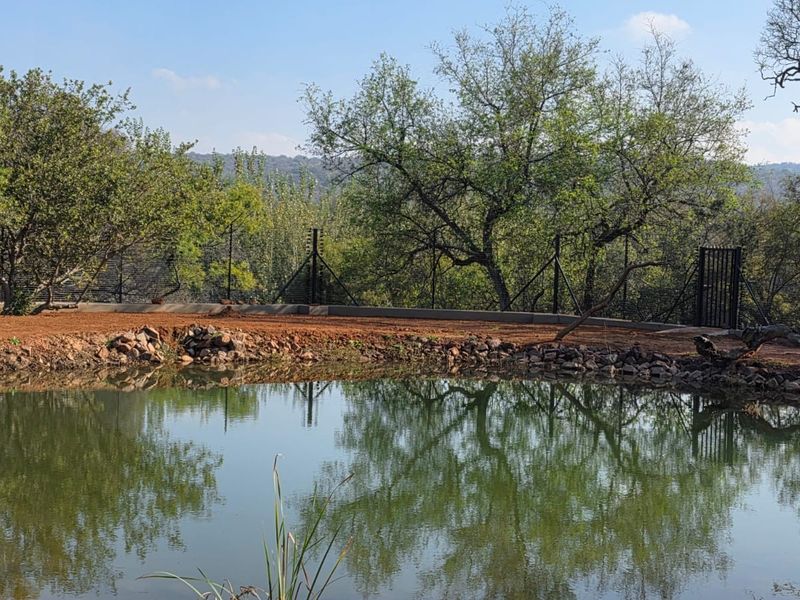 A peaceful vacant land plot featuring a natural pond, established trees, and secure perimeter fencing with a gate.