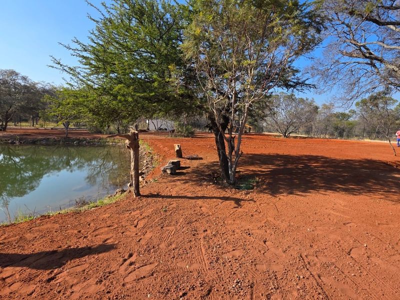 A view of a vacant residential plot featuring a natural pond and mature trees on red earth terrain.