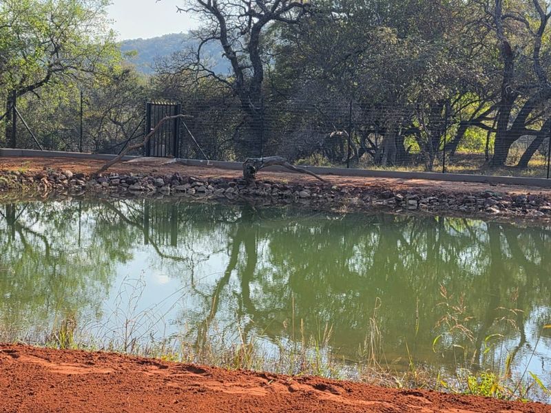 A natural dam feature on the residential property, bordered by stone edging and secured with wire mesh fencing and a metal gate.