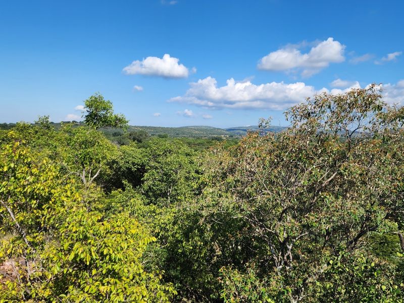 A scenic view of the natural landscape and native vegetation surrounding the vacant residential property.