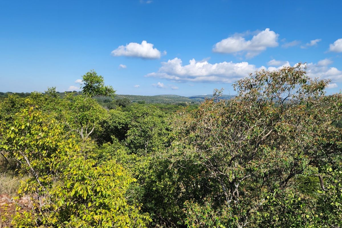 A scenic view of the natural landscape and native vegetation surrounding the vacant residential property.