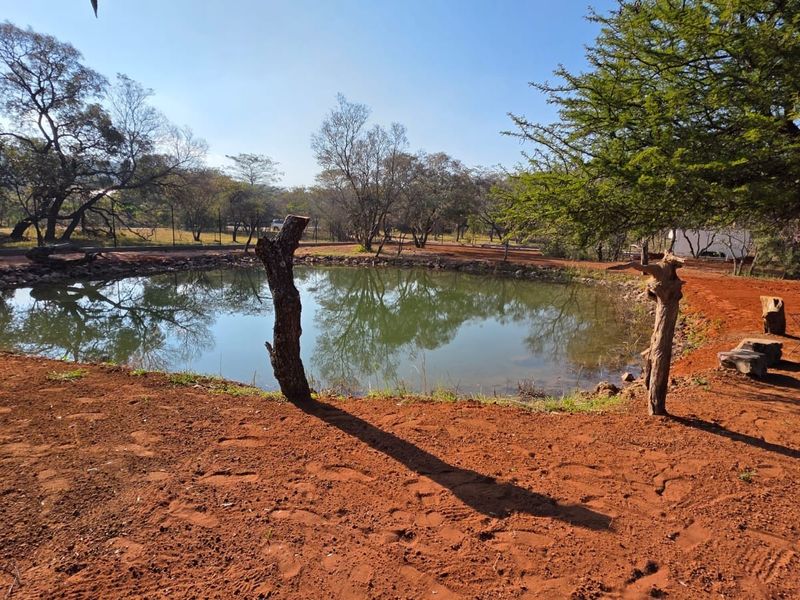 A natural pond set within a spacious, undeveloped residential plot featuring mature trees and perimeter fencing.
