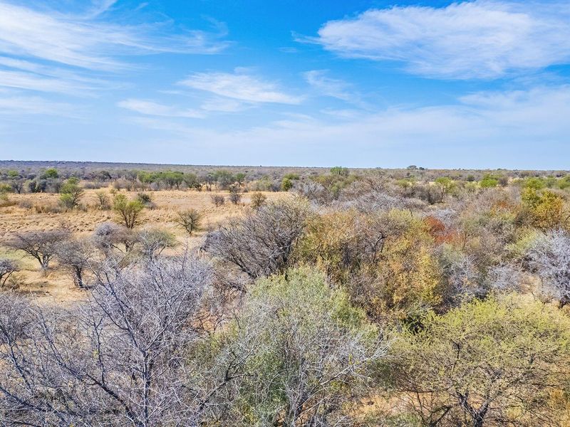 An aerial view of the expansive, natural landscape featuring native trees and dry scrubland typical of the region.