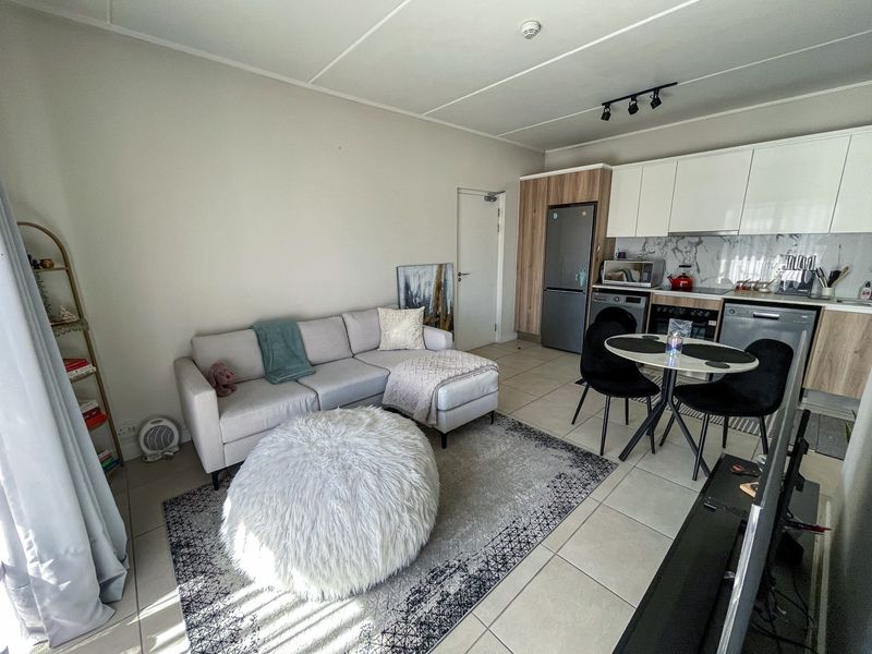 Modern open-plan living area featuring a contemporary kitchen with sleek cabinetry, marble-look splashback, and integrated appliances, seamlessly flowing into the lounge space.
