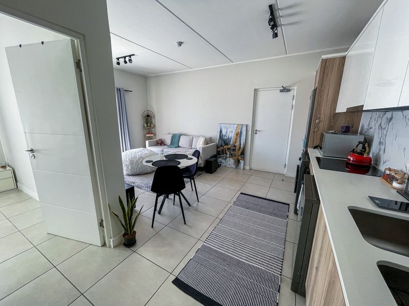 Modern open-plan living area featuring tiled flooring, track lighting, and a functional kitchen with built-in cabinetry and integrated hob.