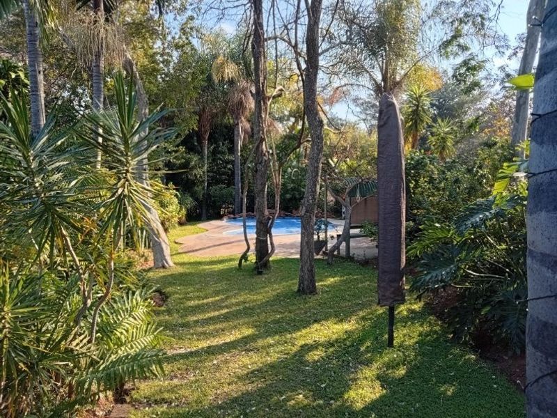 A lush, mature garden setting featuring a swimming pool with a paved surround, offering a private and tranquil outdoor space.