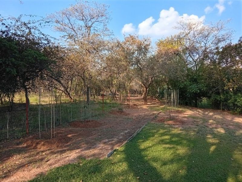 A spacious garden area featuring established trees, a maintained lawn, and wire fencing, offering a natural and serene outdoor setting.