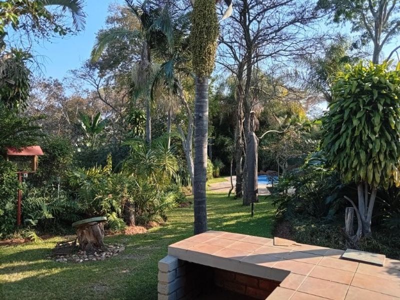 A lush, mature garden featuring a built-in brick braai with tiled surfaces, overlooking a swimming pool area surrounded by established trees and greenery.