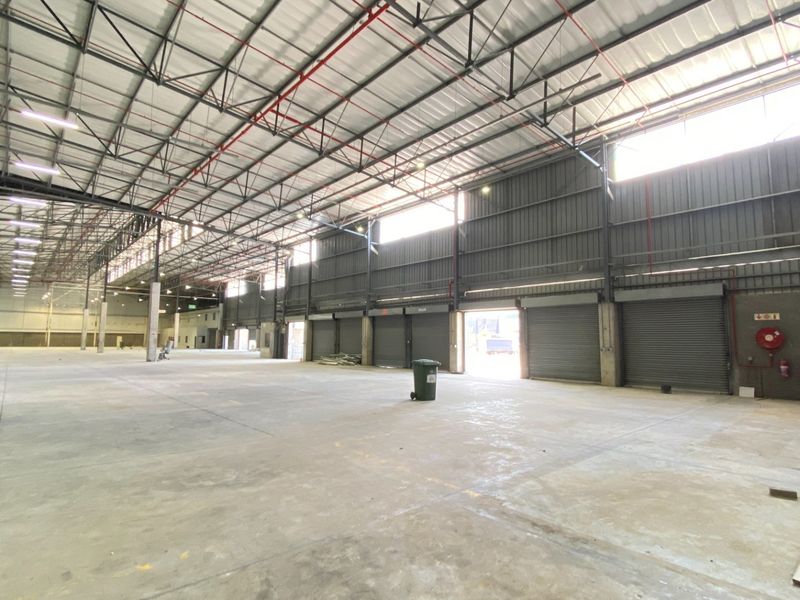 Spacious industrial warehouse featuring high ceilings, exposed steel trusses, concrete flooring, and multiple roller shutter doors for efficient loading and access.