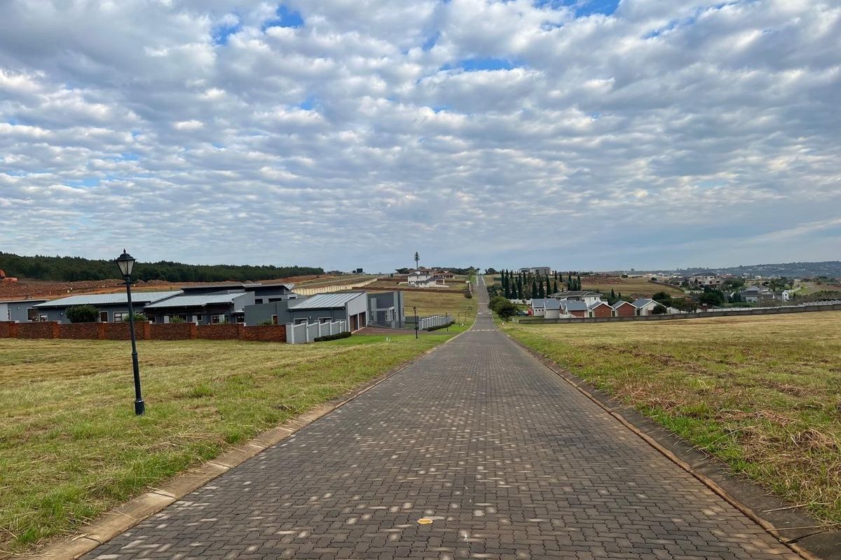 A view of a paved residential street within a development, featuring surrounding vacant land and established neighboring properties under a cloudy sky.