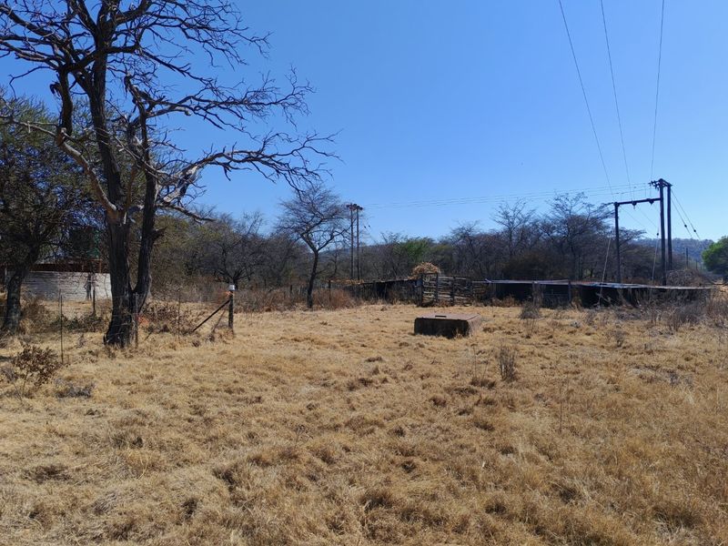 A view of the vacant residential land featuring dry grass, mature trees, wire fencing, and visible overhead power lines.