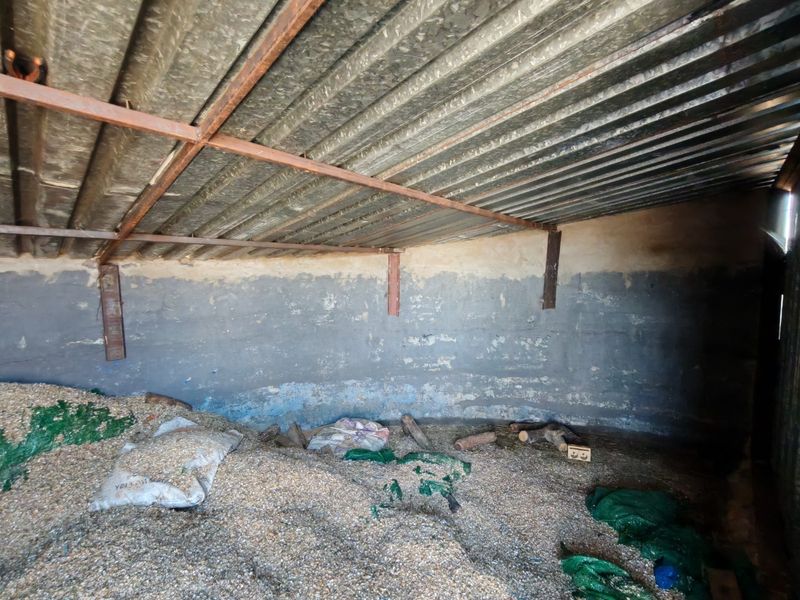 A utilitarian storage space featuring a corrugated metal roof and masonry walls, suitable for conversion or general storage use.