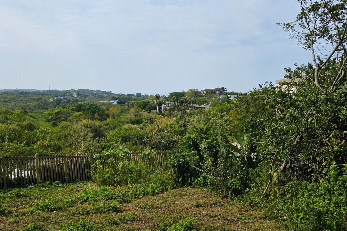 A scenic view overlooking a lush green landscape with established vegetation and a wooden boundary fence on the residential property.