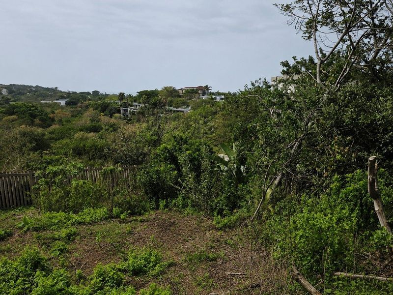 A view of the surrounding landscape and residential area from the vacant land plot, featuring natural vegetation and a perimeter fence.