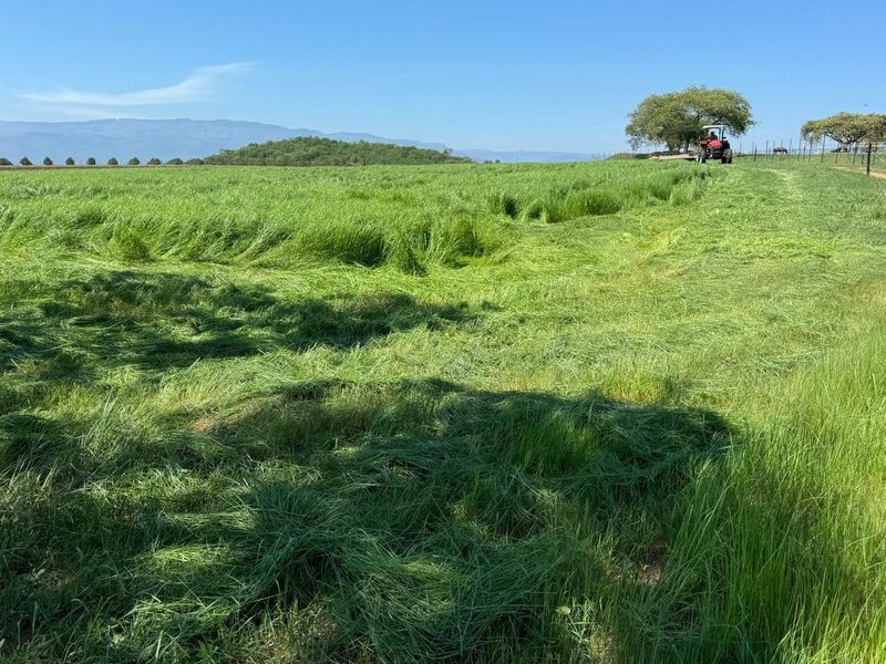 Expansive green pasture land on a farm setting with distant mountain views and clear blue skies.