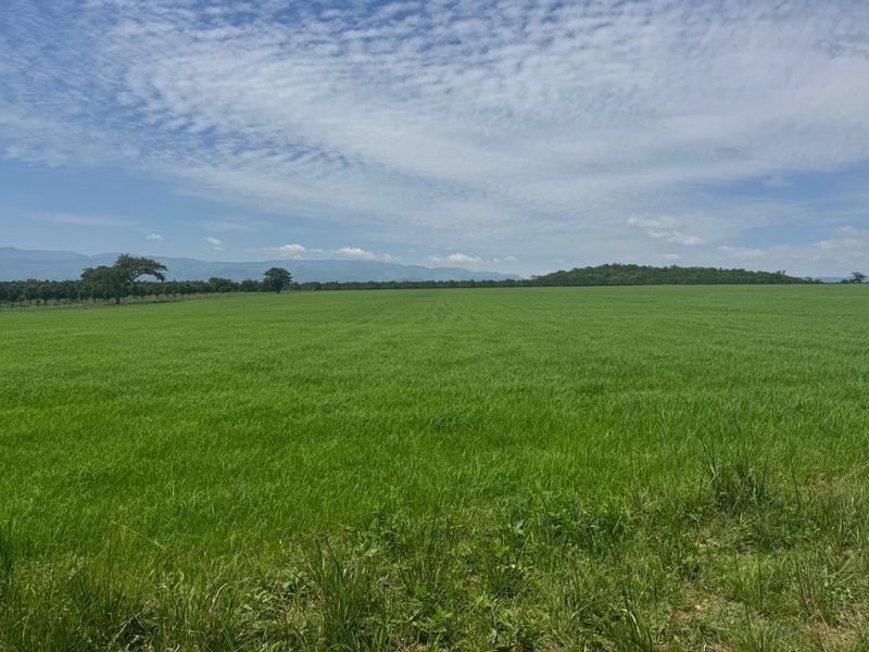 Expansive green pasture and farmland landscape with distant mountain views under a clear blue sky.
