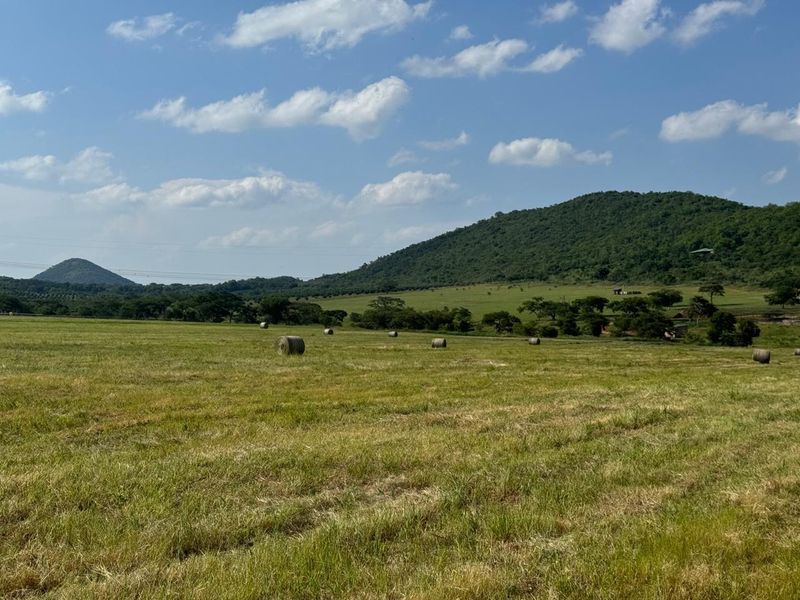 A scenic view of the expansive farm pasture with rolling hills in the background under a clear blue sky.