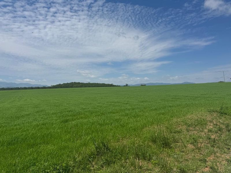 Expansive green pasture land with a scenic landscape view under a clear blue sky.