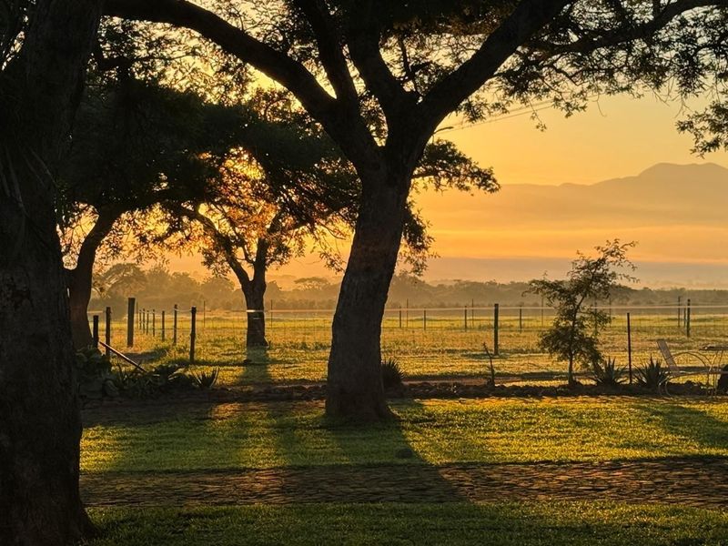 A scenic sunrise view over the farm property, featuring mature trees, open grazing land, and wire fencing under a golden morning sky.
