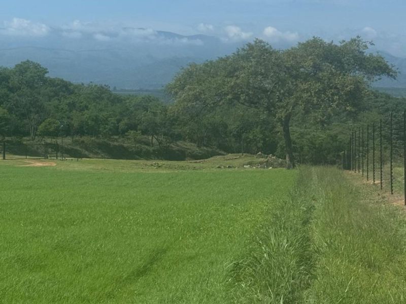 A scenic view of the farm's open pasture land, featuring perimeter fencing and distant mountain vistas.
