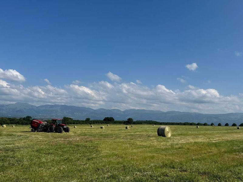 Expansive agricultural pasture land featuring rolling fields and scenic mountain views under a clear blue sky.