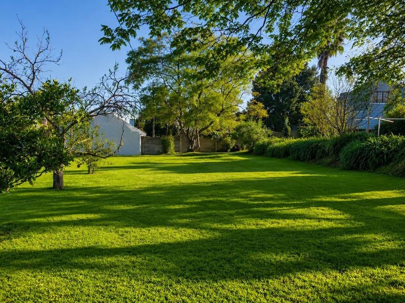 A spacious, well-maintained residential garden featuring a lush green lawn, mature trees, and established boundary hedging.