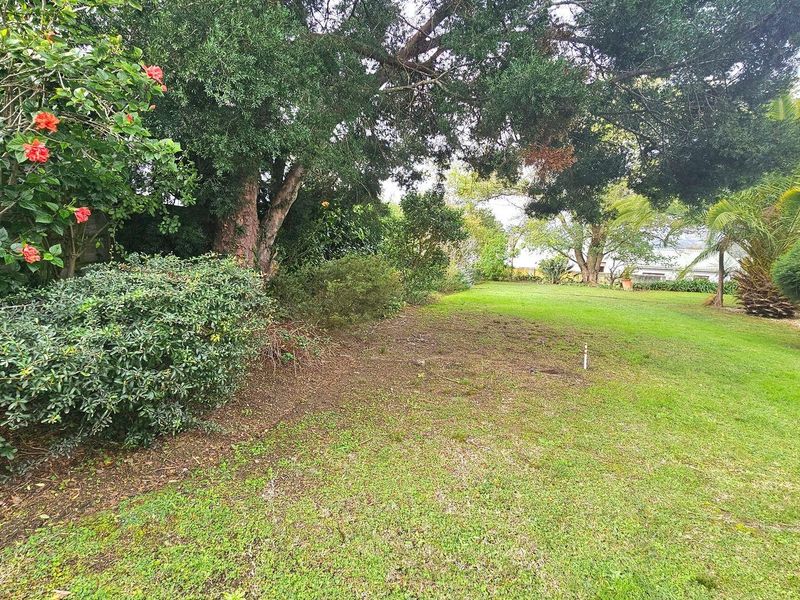 A spacious, well-maintained residential garden featuring mature trees, established shrubs, and a large lawn area.