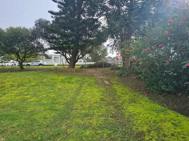 A view of a residential garden plot featuring established trees, a grassy lawn, and perimeter chain-link fencing.