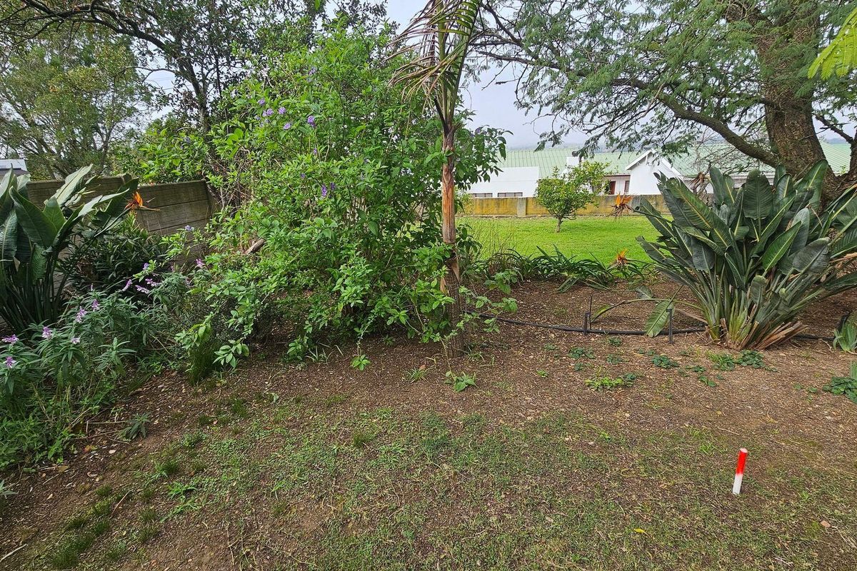 A residential garden area featuring established trees, mature shrubs, and a boundary wall on a vacant residential plot.