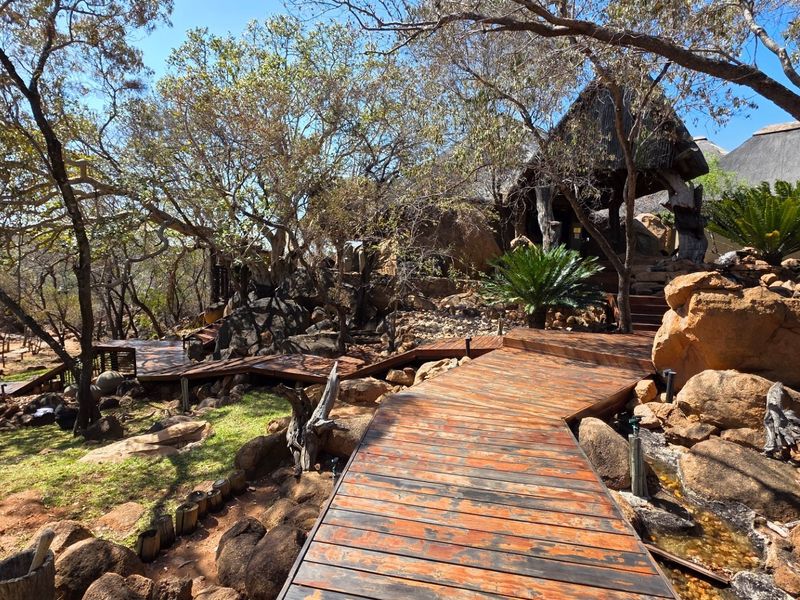 Big 5 - Exclusive 5-Star Safari Lodge for Sale Mokaikai Private Nature Reserve, Waterberg - Photo 8