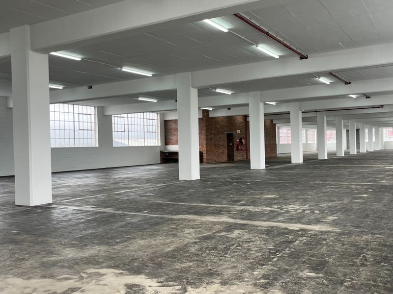Expansive open-plan industrial warehouse space featuring high ceilings, exposed concrete columns, large steel-framed windows, and durable concrete flooring throughout.