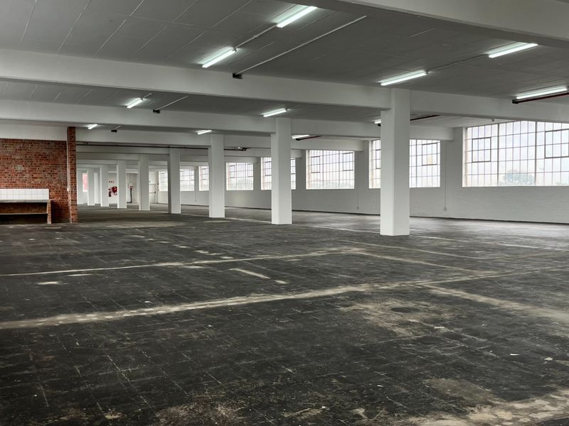 Expansive open-plan industrial warehouse space featuring high ceilings, concrete columns, large grid windows, and durable flooring, suitable for various commercial or creative uses.