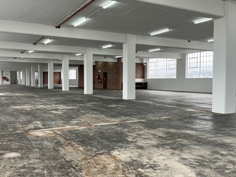Expansive open-plan industrial warehouse space featuring high ceilings, structural columns, exposed brick accents, and large steel-framed windows providing ample natural light.