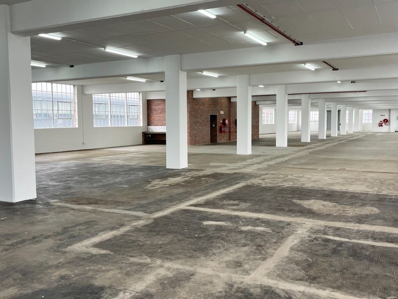 Expansive open-plan industrial warehouse space featuring high ceilings, exposed concrete columns, large industrial windows, and durable concrete flooring throughout.