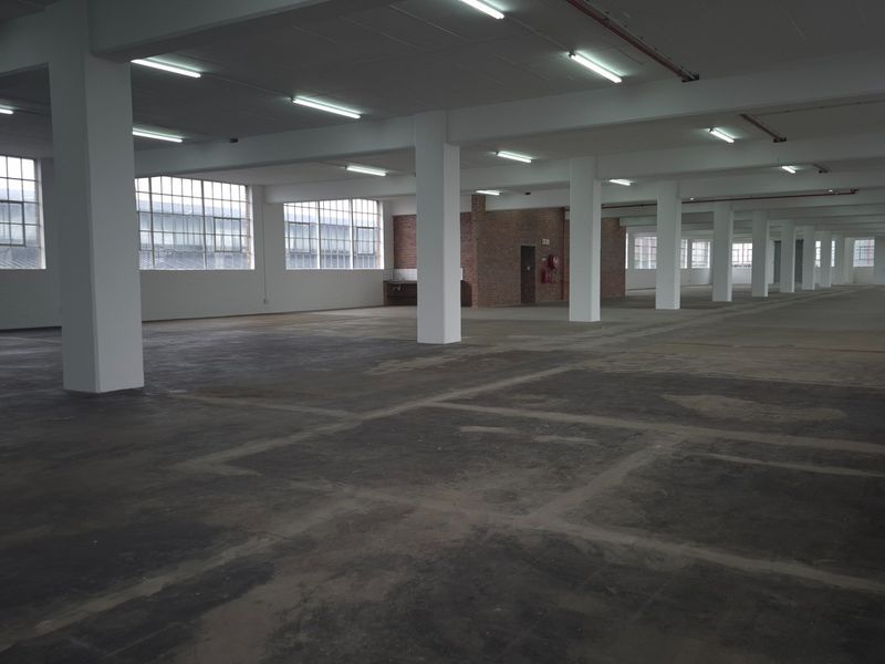 Expansive open-plan industrial warehouse space featuring high ceilings, large steel-framed windows, concrete flooring, and structural columns, suitable for versatile commercial or industrial use.