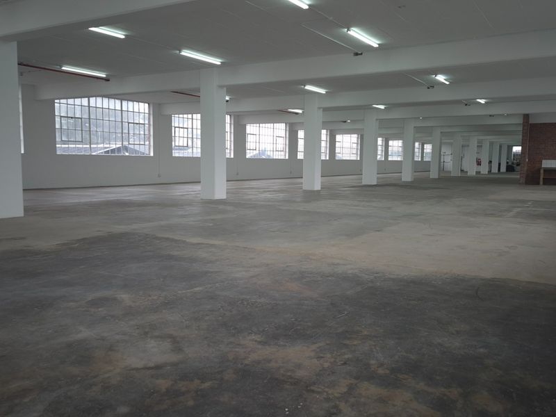 Expansive open-plan industrial warehouse space featuring polished concrete floors, large steel-framed windows, and structural columns, suitable for various commercial or industrial applications.