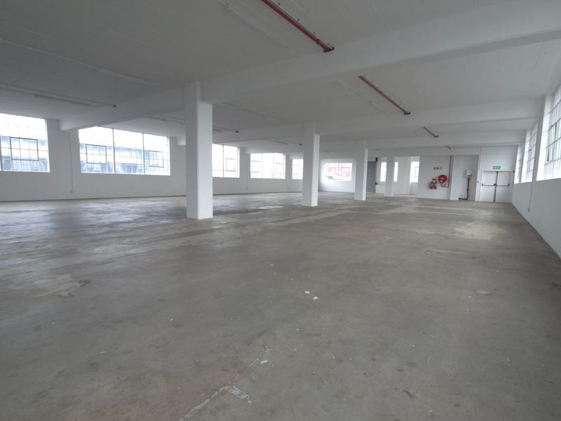 Expansive open-plan industrial warehouse space featuring polished concrete floors, large steel-framed windows, and exposed fire safety infrastructure.