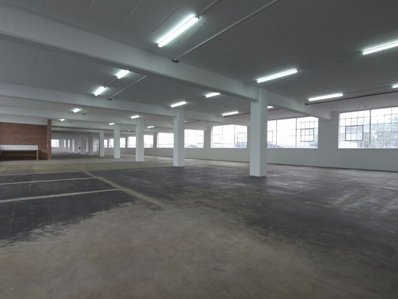 A large, open-plan industrial warehouse space featuring concrete flooring, exposed structural columns, and ample natural light from large steel-framed windows.
