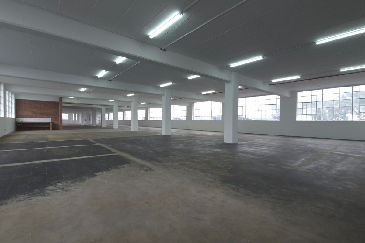 A large, open-plan industrial warehouse space featuring concrete flooring, exposed structural columns, and ample natural light from large steel-framed windows.