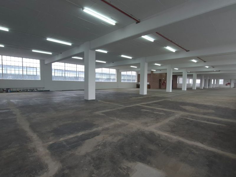 A large, open-plan industrial warehouse space featuring concrete flooring, high ceilings with fluorescent lighting, and expansive steel-framed windows providing ample natural light.