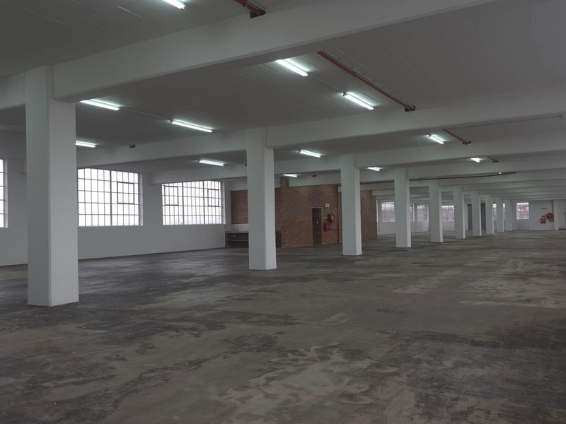 Expansive open-plan industrial warehouse space featuring concrete flooring, high ceilings with fluorescent lighting, and large grid-style windows providing ample natural light.